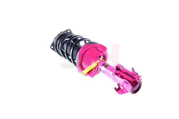 Vedruamort, GH GH-352298C01