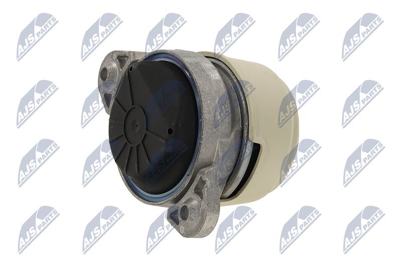 Paigutus, Mootor, NTY ZPS-ME-011