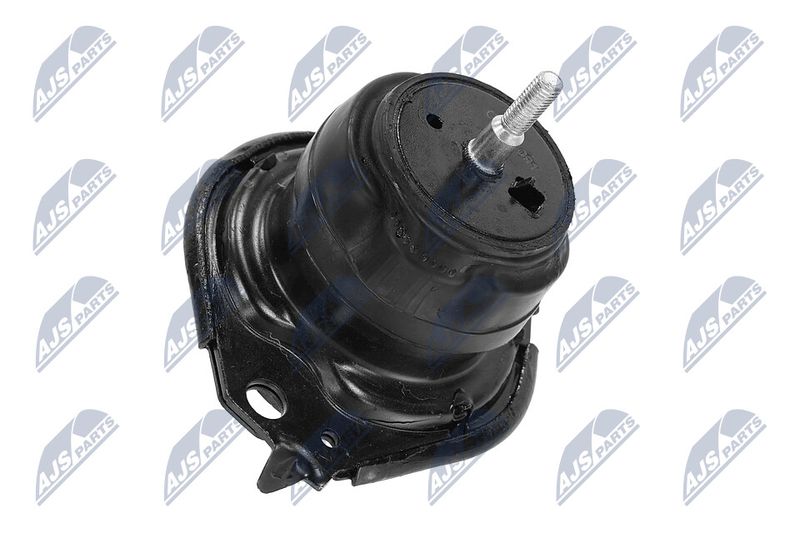 Paigutus, Mootor, NTY ZPS-CH-091