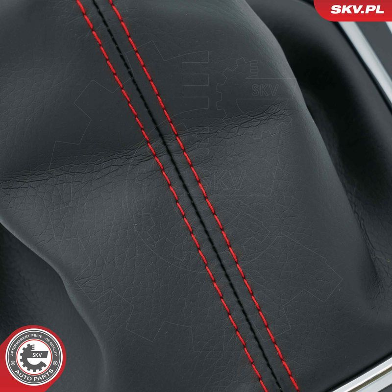 Käigukanginupp, ESEN SKV 63SKV487