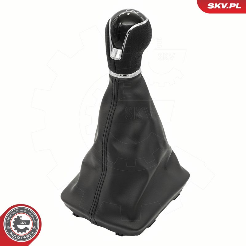 Käigukanginupp, ESEN SKV...