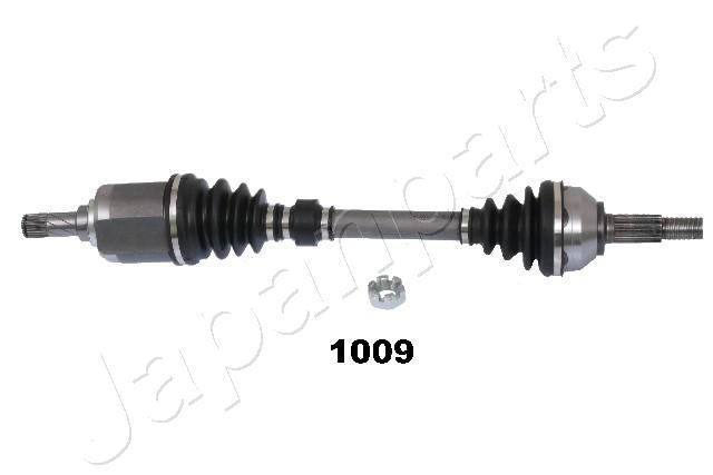 GI-1009_1.JPG
