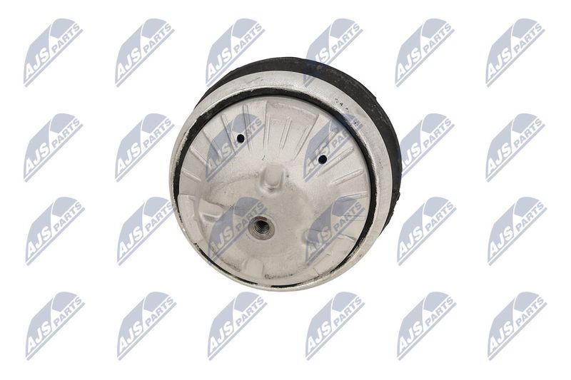 Paigutus, Mootor, NTY ZPS-ME-089