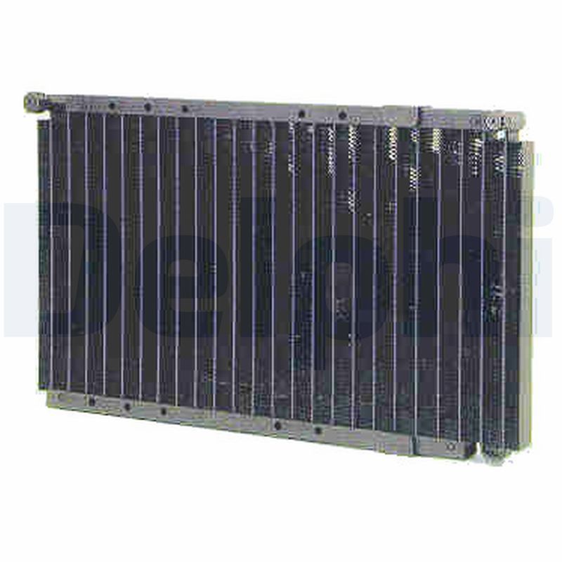 TSP0225313.JPG