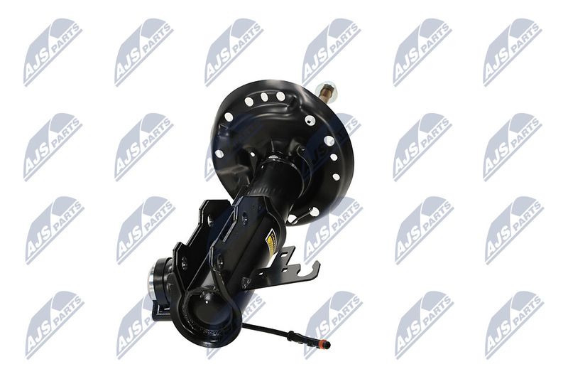 Amort, NTY A-PL-062