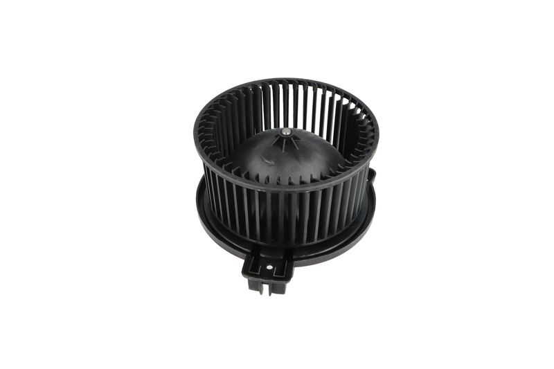 Salongipuhur, NRF 34331