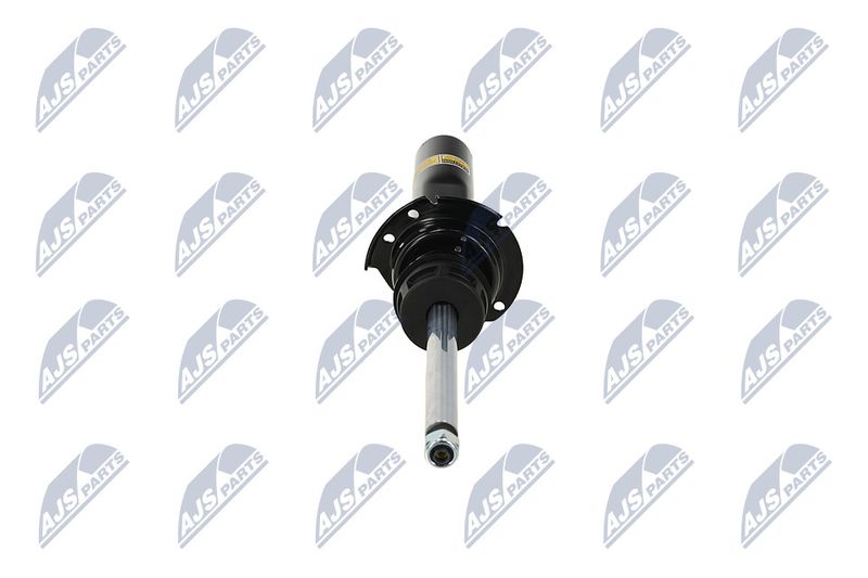 Amort, NTY A-BM-087