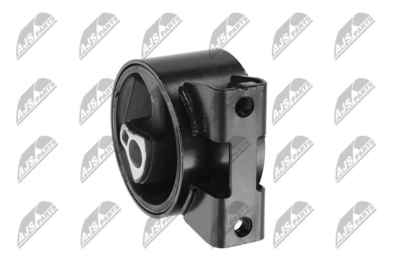 Paigutus, Mootor, NTY ZPS-CH-054