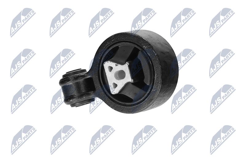 Paigutus, Mootor, NTY ZPS-CH-117