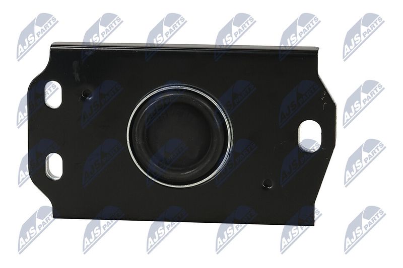 Paigutus, Mootor, NTY ZPS-PL-087
