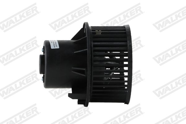 wbl01432_5352139.JPG