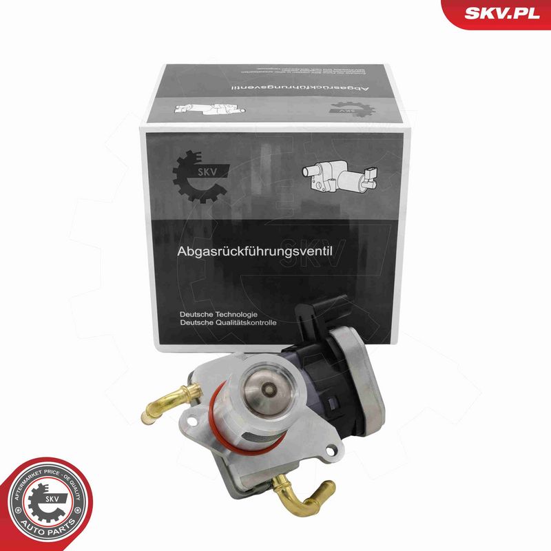 ESEN SKV 14SKV303 - EGR Valve