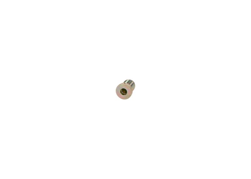 BOSCH 2413462020 Screw