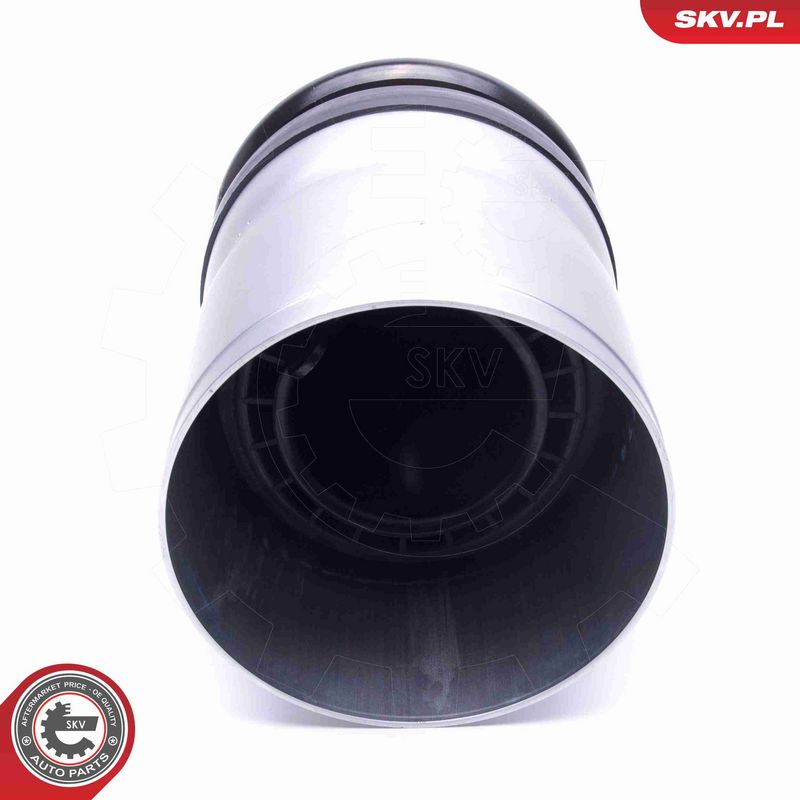ESEN SKV 58SKV059 Air Suspension Strut