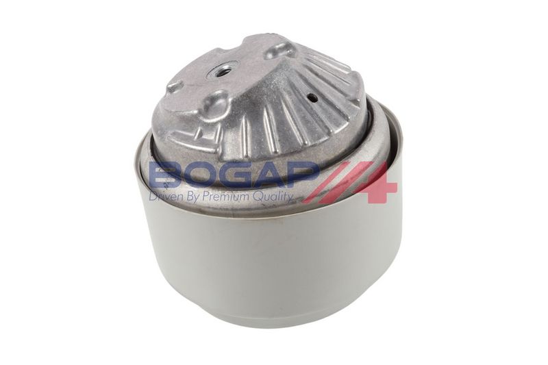 BOGAP Variklio montavimas