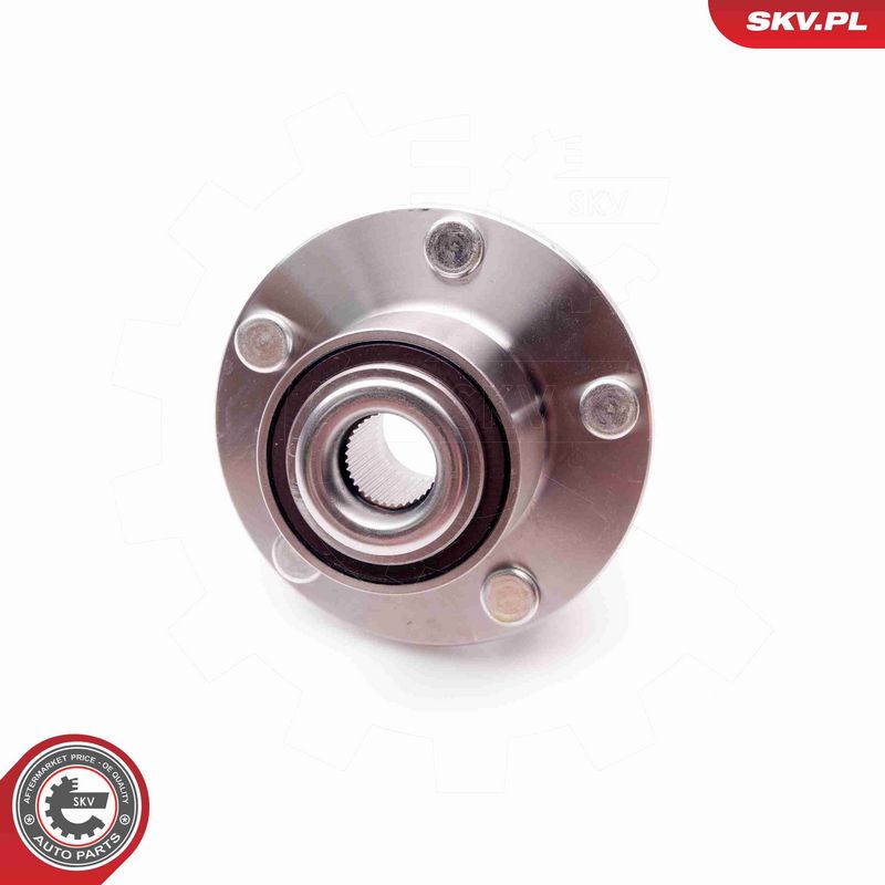 ESEN SKV 29SKV081 Wheel Bearing Kit