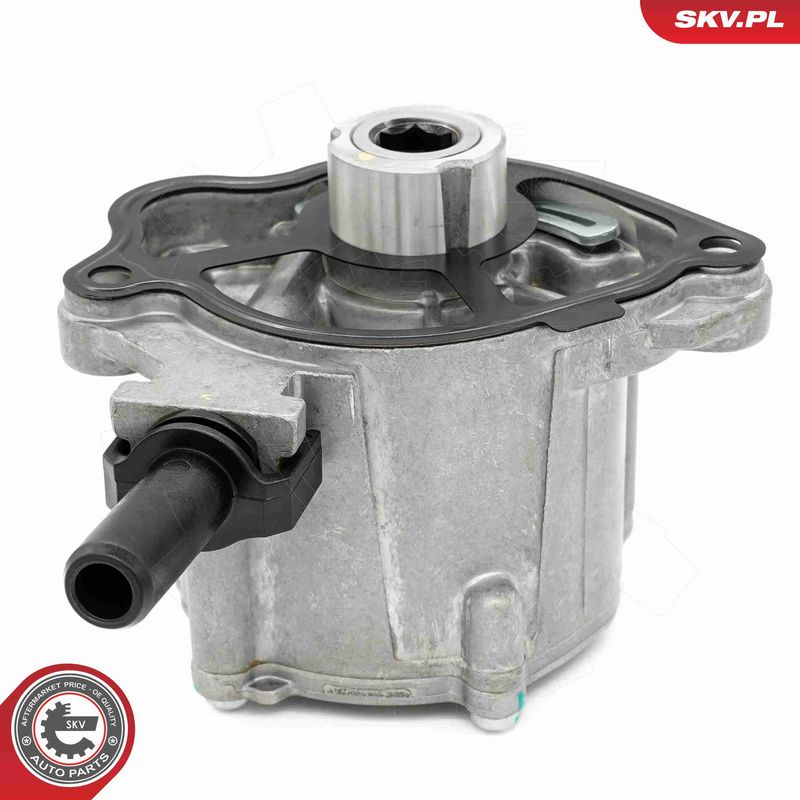 ESEN SKV 18SKV069 Vacuum Pump, braking system