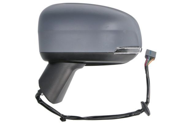 BLIC 5402-24-2025316P Exterior Mirror