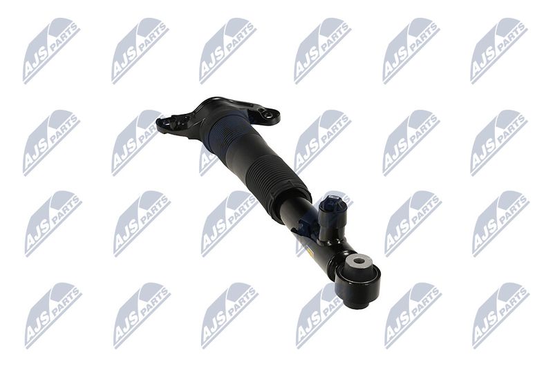 Amort, NTY A-LR-037