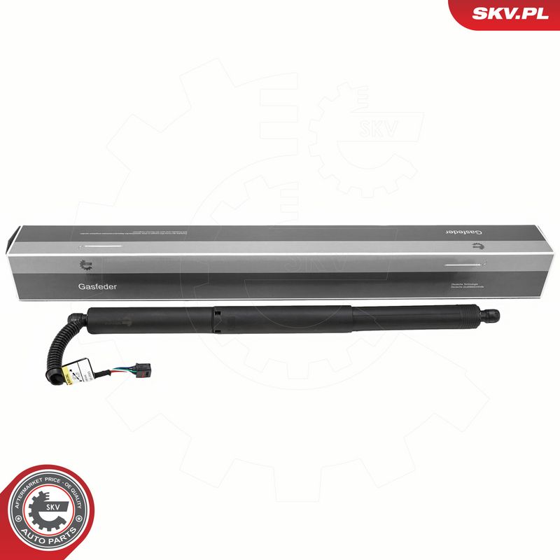 Elektrimootor, tagaluuk, ESEN SKV 52SKV205