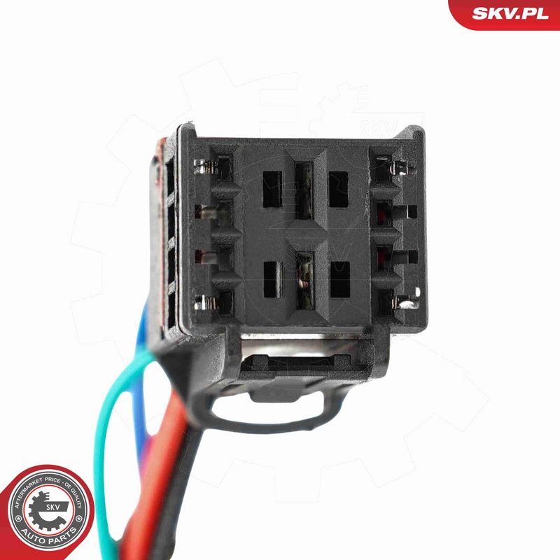 ESEN SKV 52SKV994 Electric Motor, tailgate