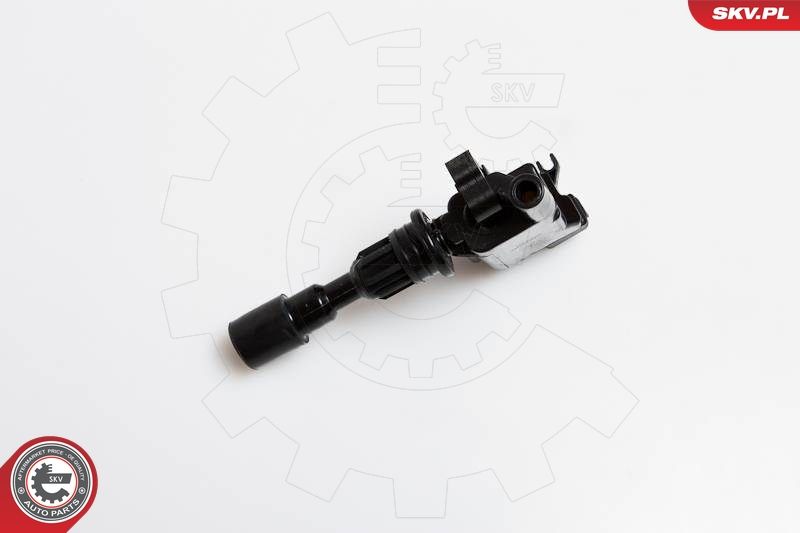 ESEN SKV 03SKV180 Ignition Coil