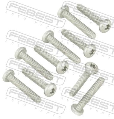 FEBEST Rögzítő csavar, keresztlengőkar 2398-002-PCS10