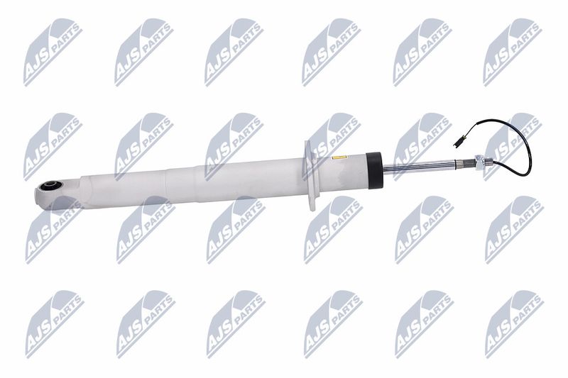 Amort, NTY A-MA-003