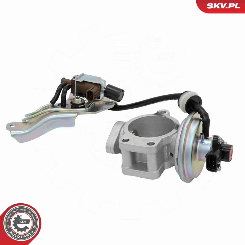 ESEN SKV 14SKV315 EGR Valve