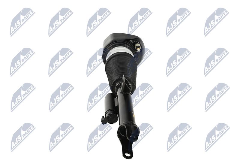 Amort, NTY A-BM-088