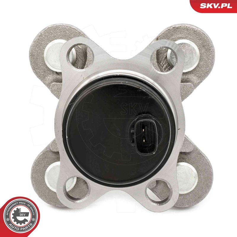 ESEN SKV 29SKV583 Wheel Bearing Kit