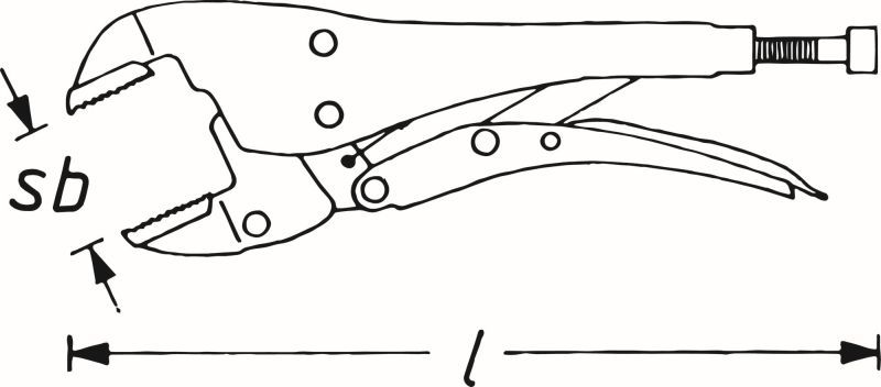 480809881.JPG