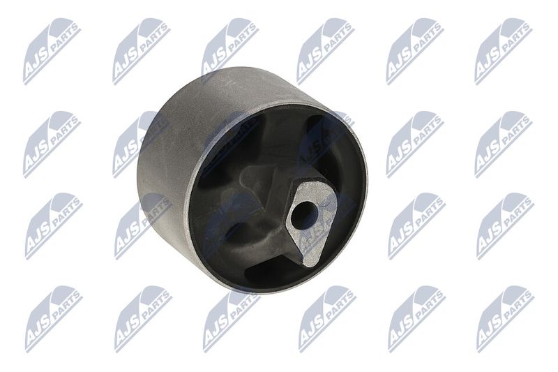 Paigutus, Mootor, NTY ZPS-CH-040