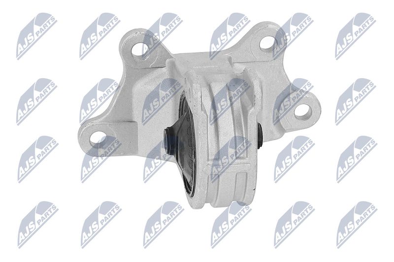 Paigutus, Mootor, NTY ZPS-MS-030