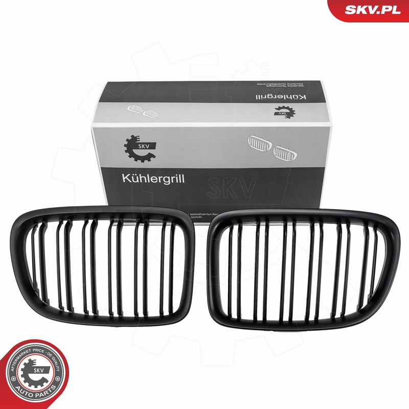 Radiaatorivõre, ESEN SKV 66SKV231