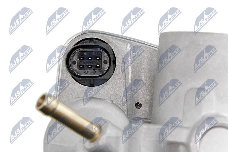 etb-vw-001_7-wm.JPG