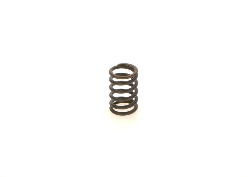 BOSCH 1414619025 Spring