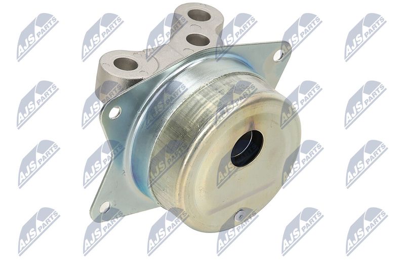 Paigutus, Mootor, NTY ZPS-PL-049