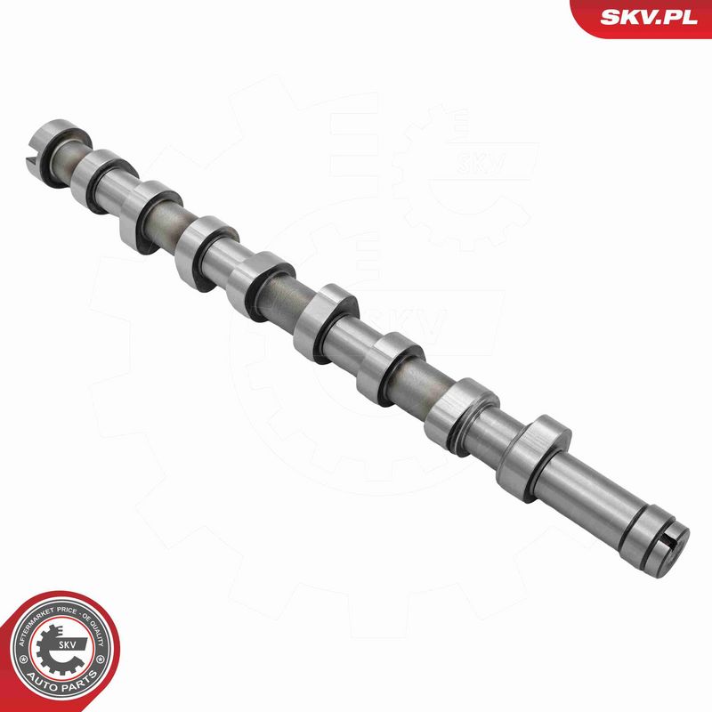 ESEN SKV 80SKV300 Camshaft Kit