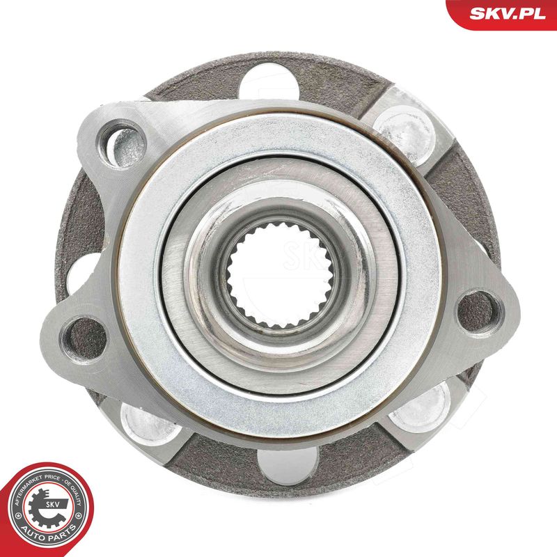 ESEN SKV 29SKV630 Wheel Bearing Kit