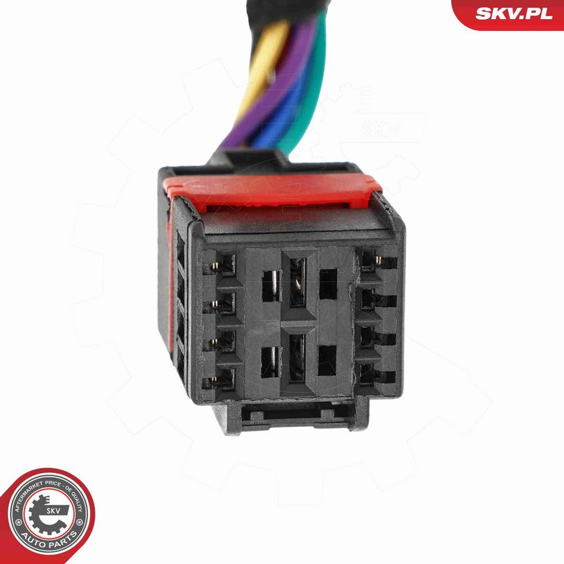 ESEN SKV 52SKV169 Electric Motor, tailgate