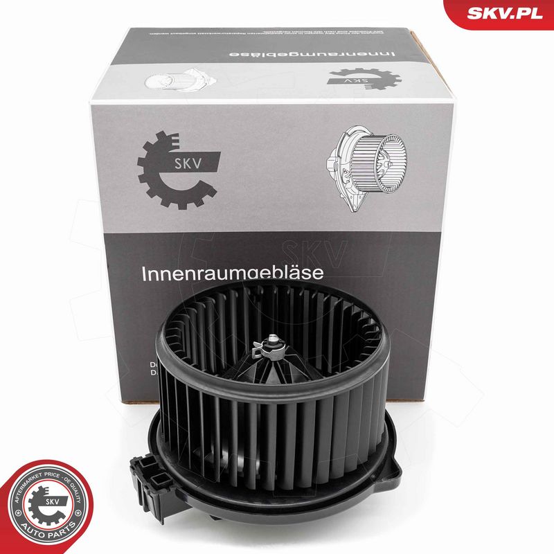 Salongipuhur, ESEN SKV...