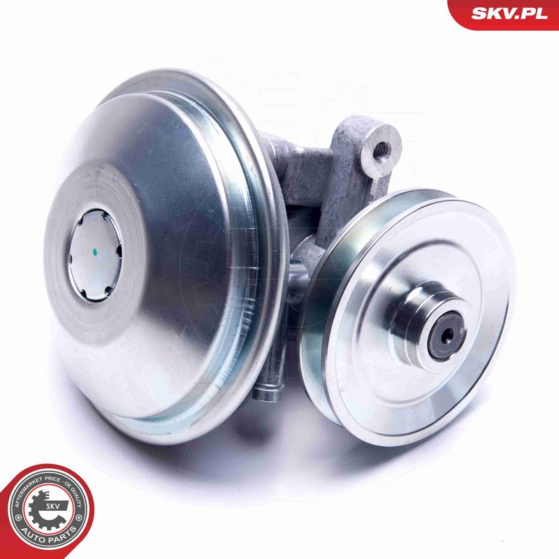 ESEN SKV 18SKV038 Vacuum Pump, braking system