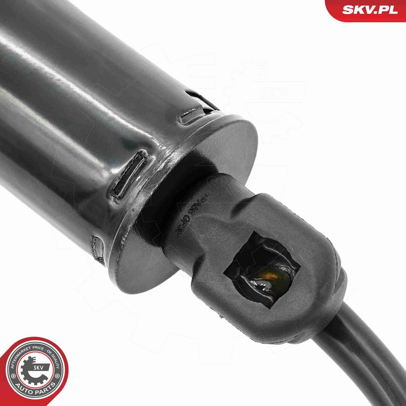 ESEN SKV 52SKV291 Electric Motor, tailgate