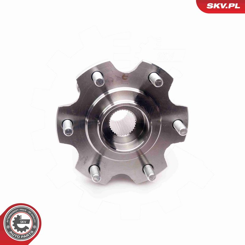 ESEN SKV 29SKV161 Wheel Bearing Kit