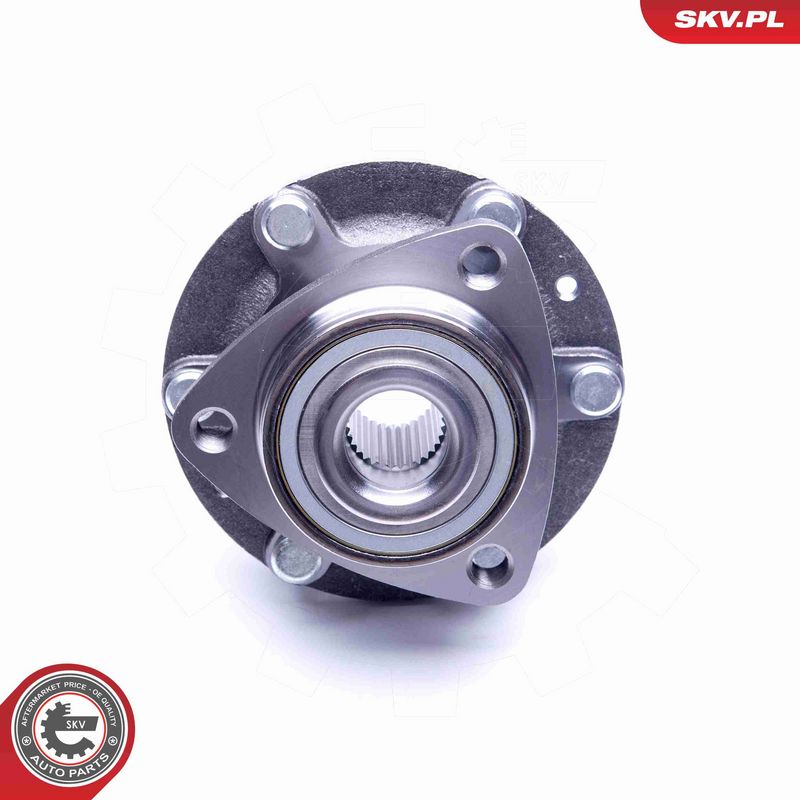 ESEN SKV 29SKV185 Wheel Bearing Kit