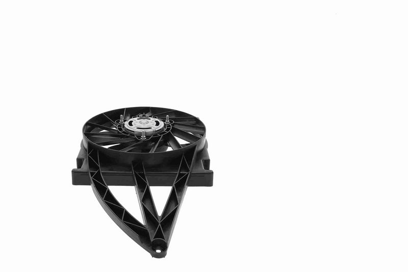 VEMO V24-01-1294 Fan, engine cooling
