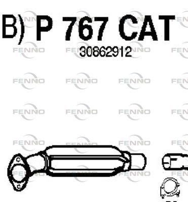 P767CAT.JPG