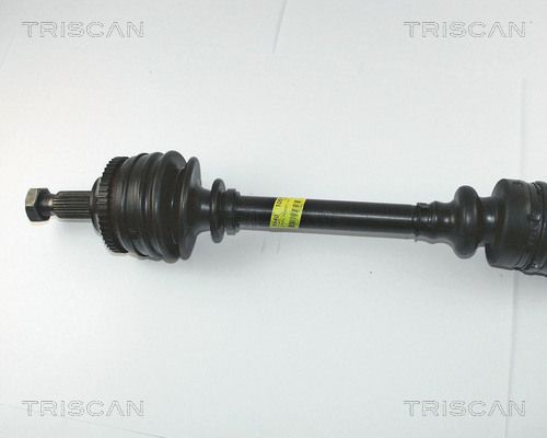 854010517.JPG