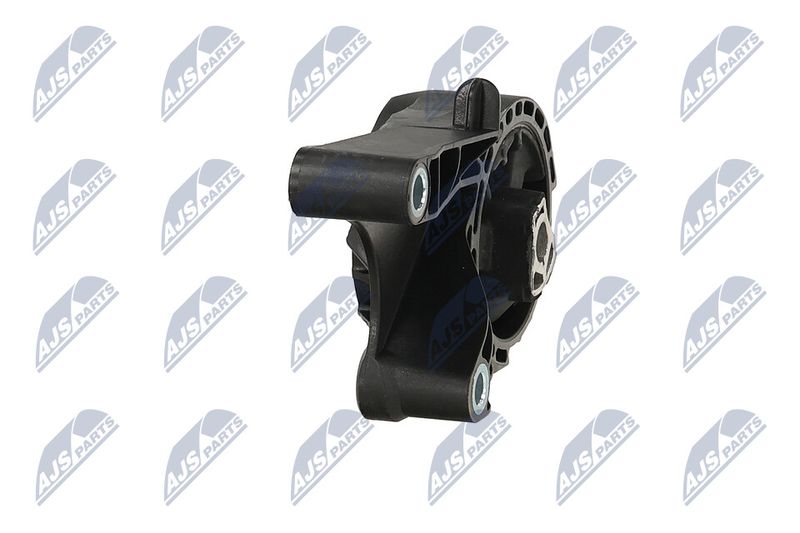 Paigutus, Mootor, NTY ZPS-PL-058